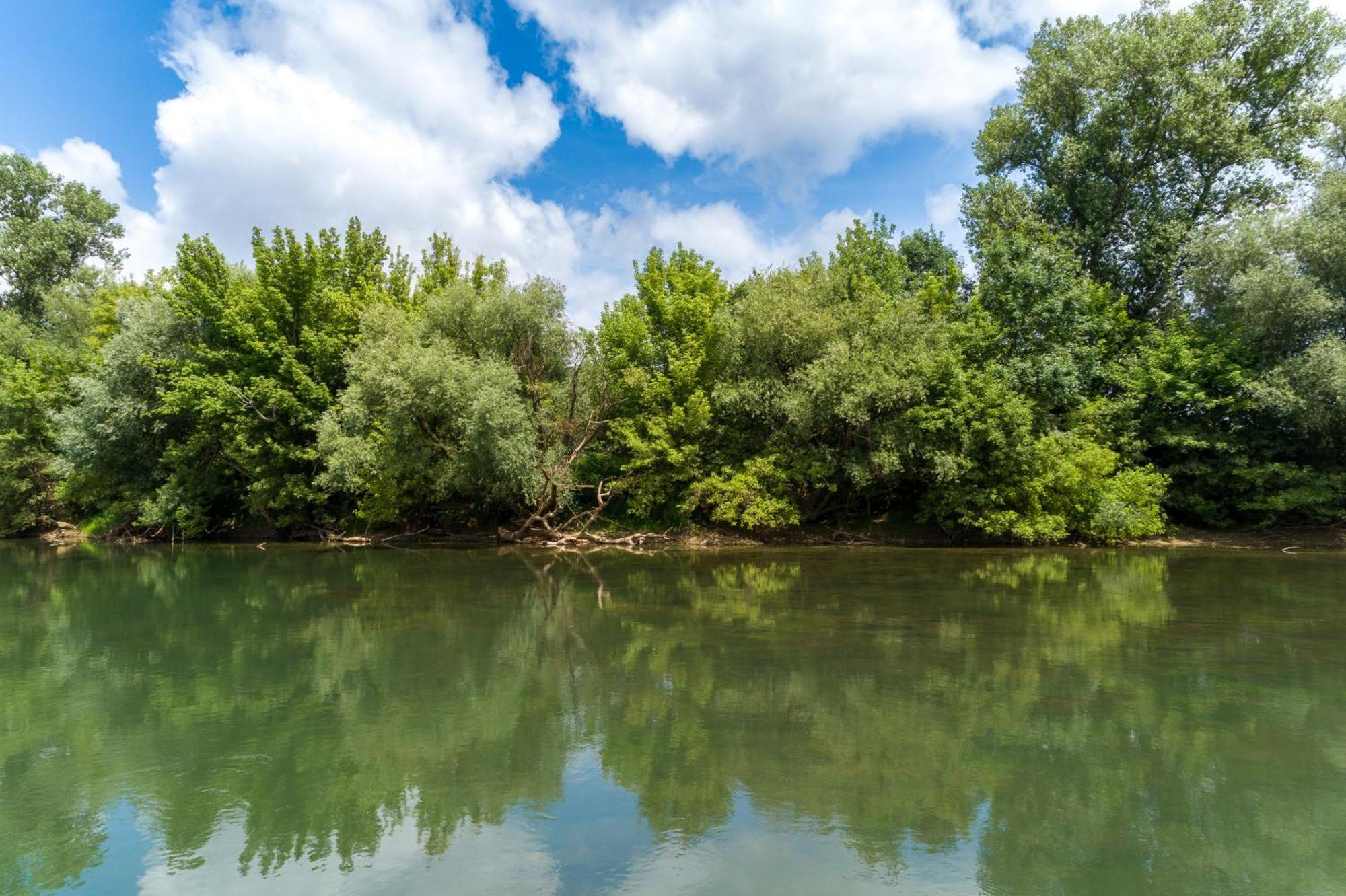 Lasinja Zagreb, Kuca Za Odmor Swan River Holiday House מראה חיצוני תמונה