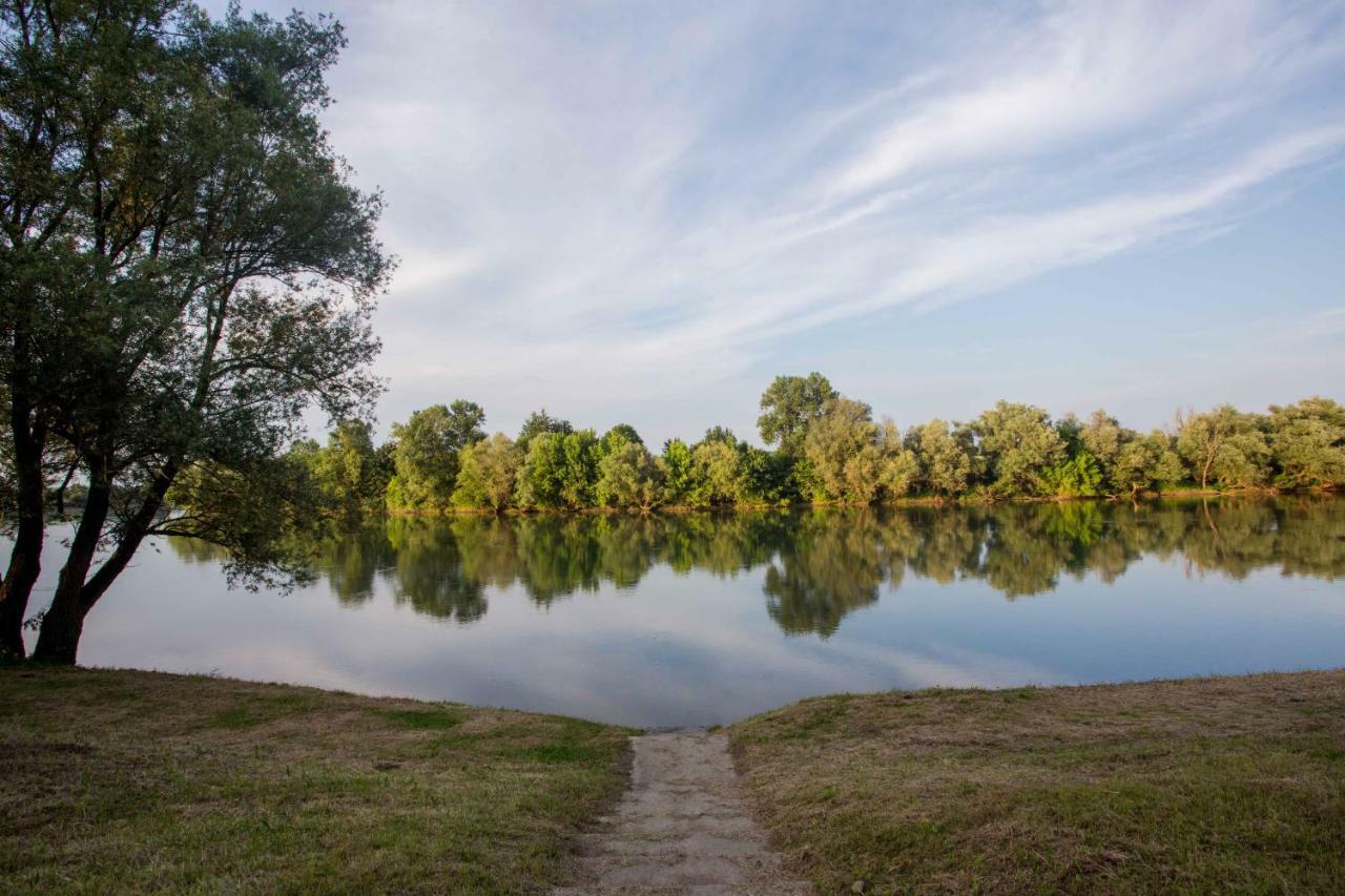 Lasinja Zagreb, Kuca Za Odmor Swan River Holiday House מראה חיצוני תמונה