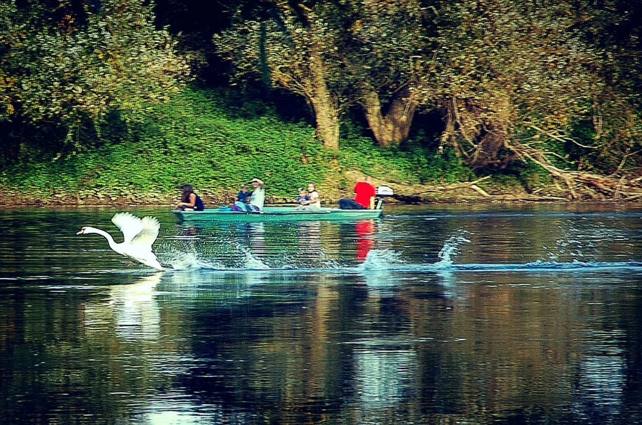 Lasinja Zagreb, Kuca Za Odmor Swan River Holiday House מראה חיצוני תמונה